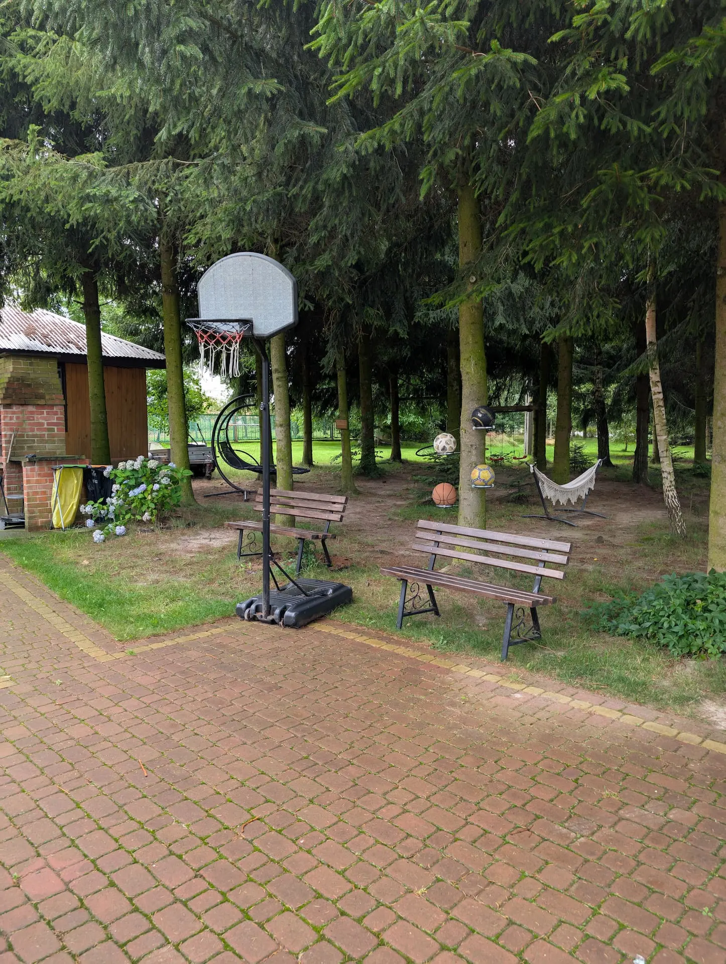 Kosz
