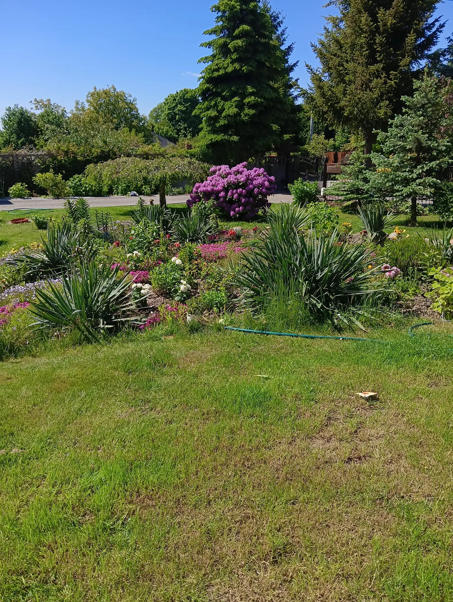 Ogród