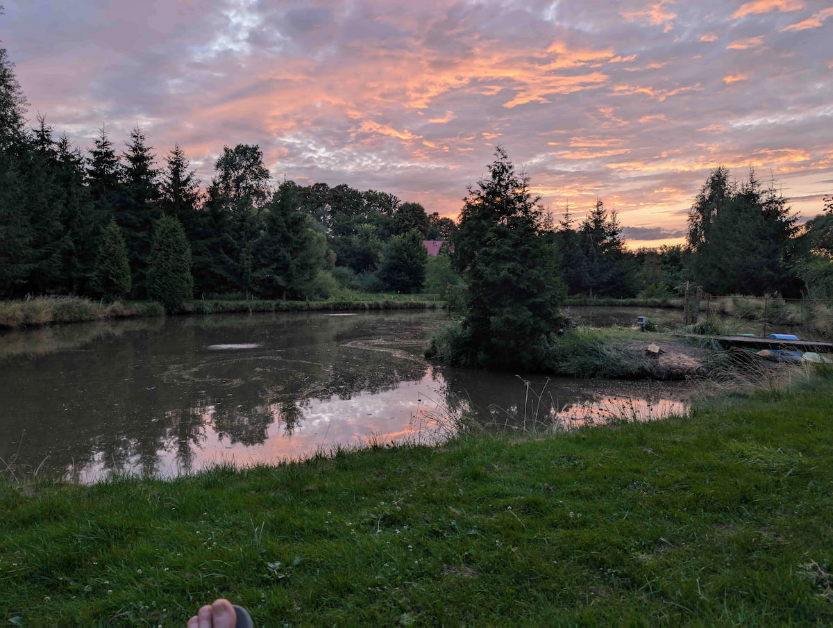 Dom i ogród